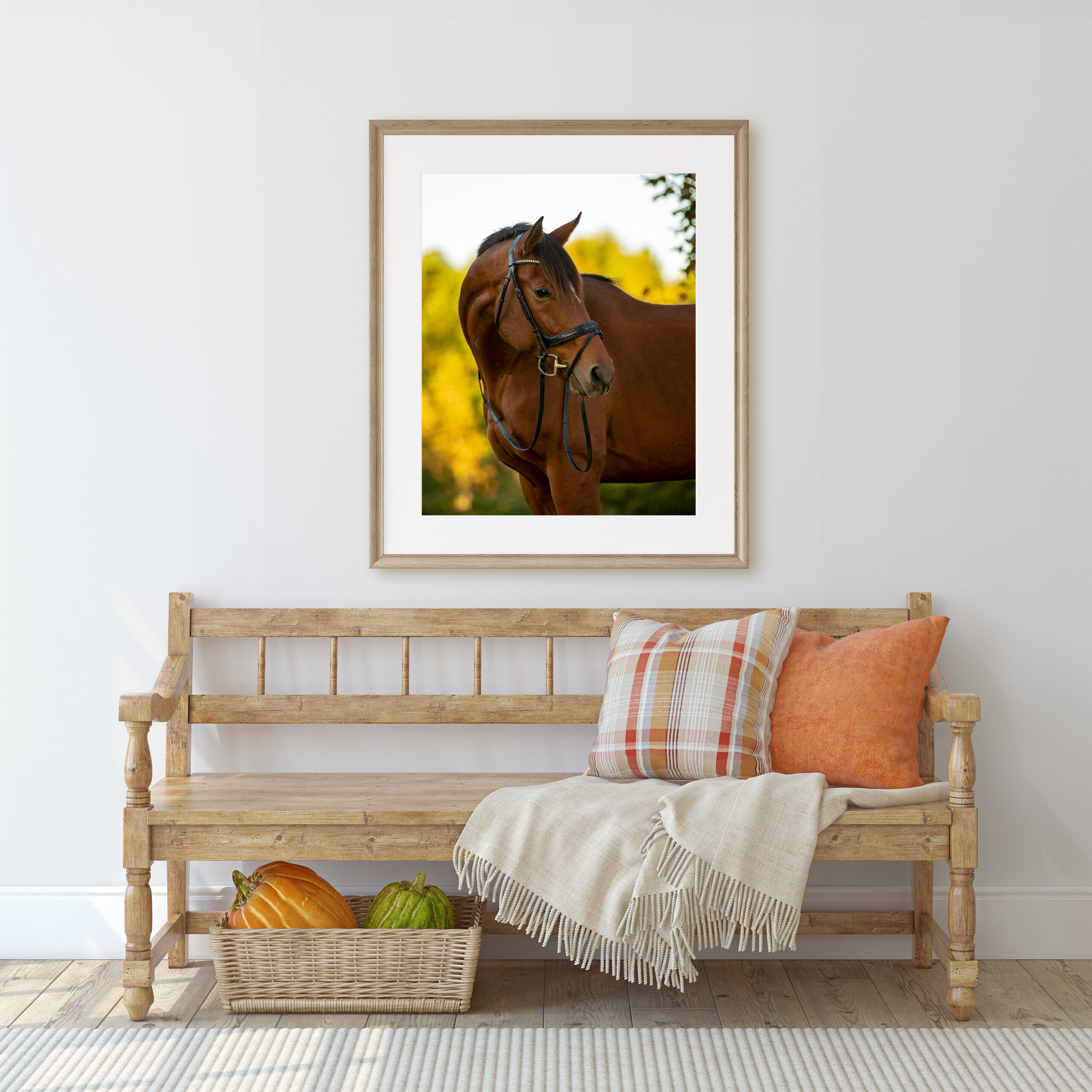 Framed Portrait of Horse