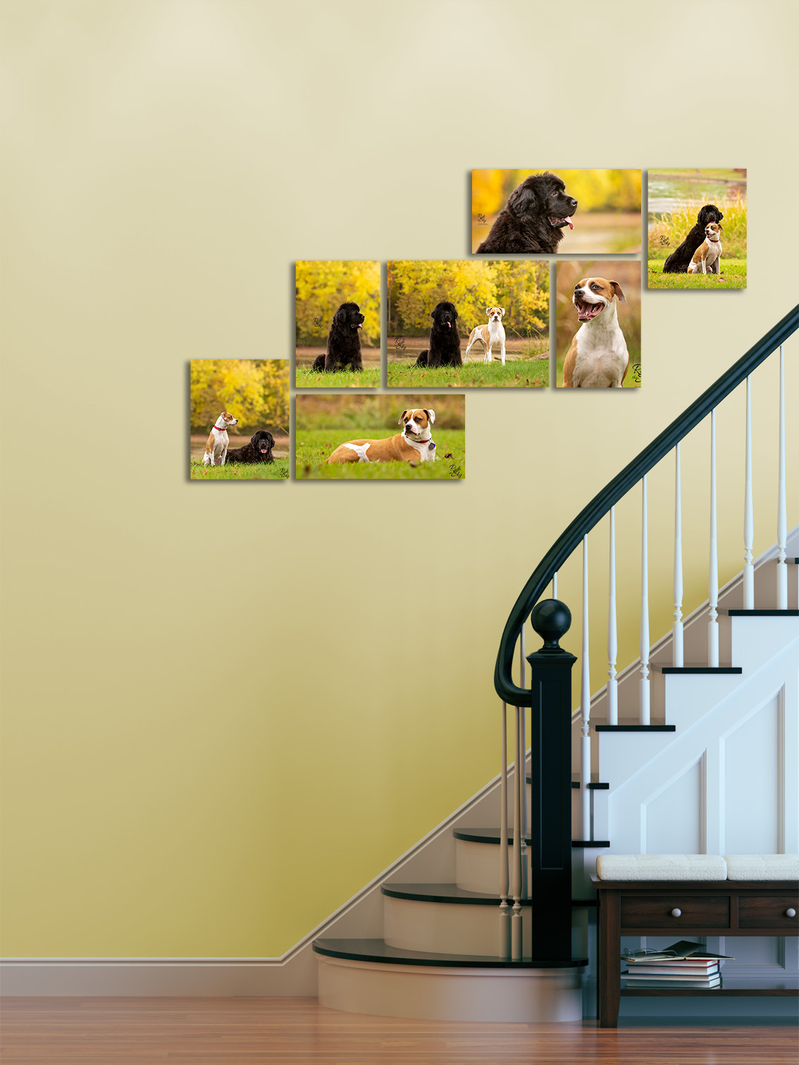 Collection of Pet Portraits on Stairs Wall