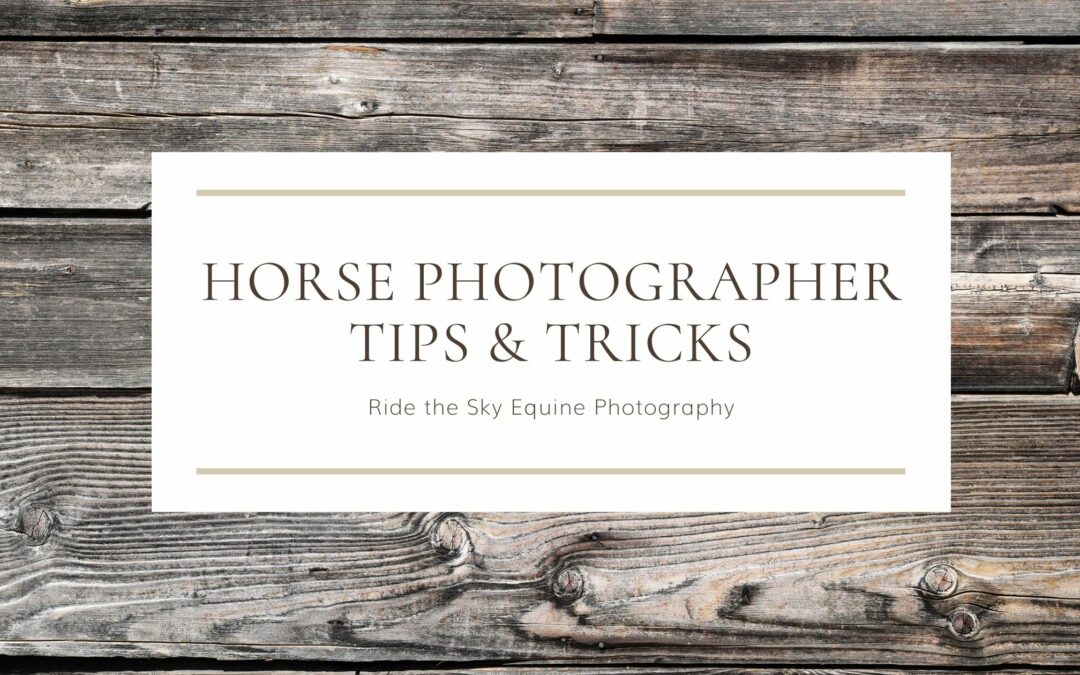 What do you never leave home without as a horse photographer?