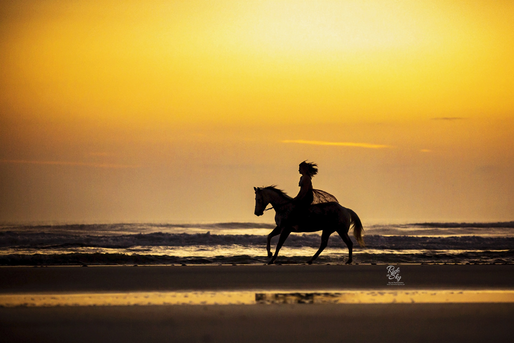 Horseback riding on the beach at sunrise