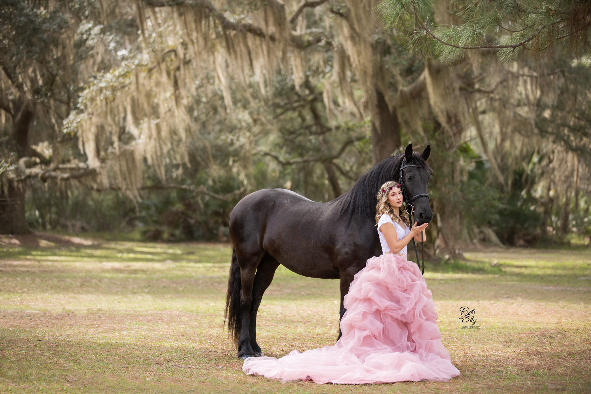 Woman with Friesian Mare in Field next to tree with Spanish moss