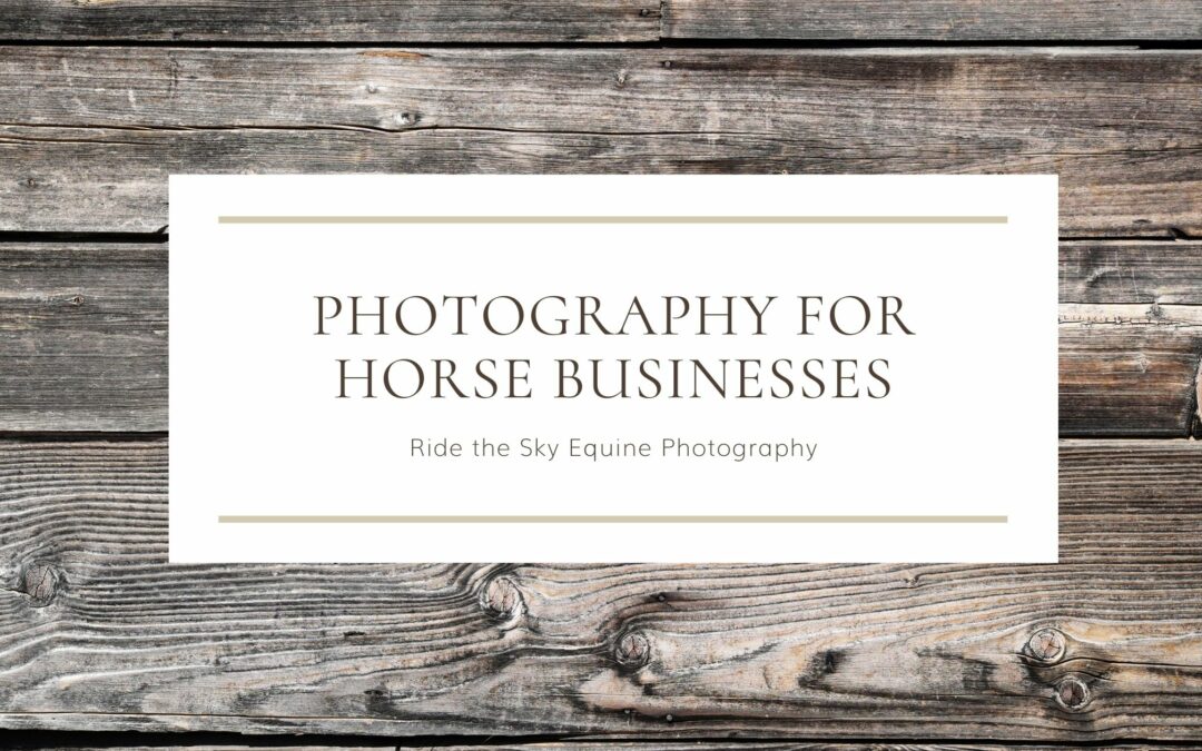 Photography for Horse Businesses