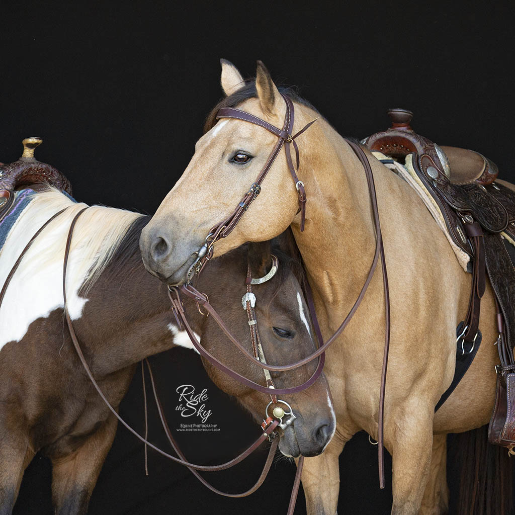 two western horses with tack standing together
