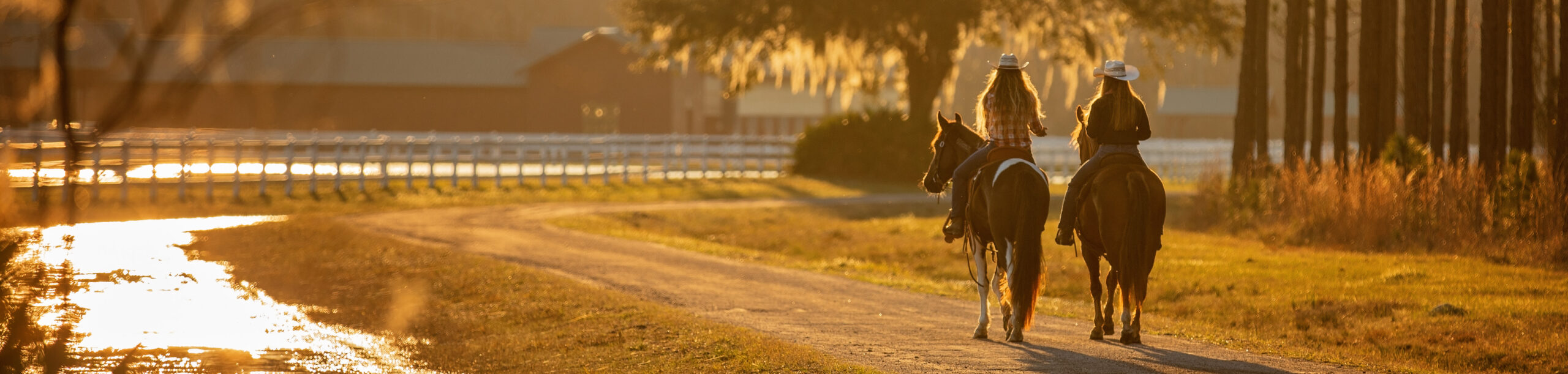 Girls riding mustang horses at sunset