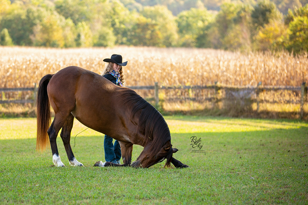 Horse Bowing with her trainer AR Horsemanship