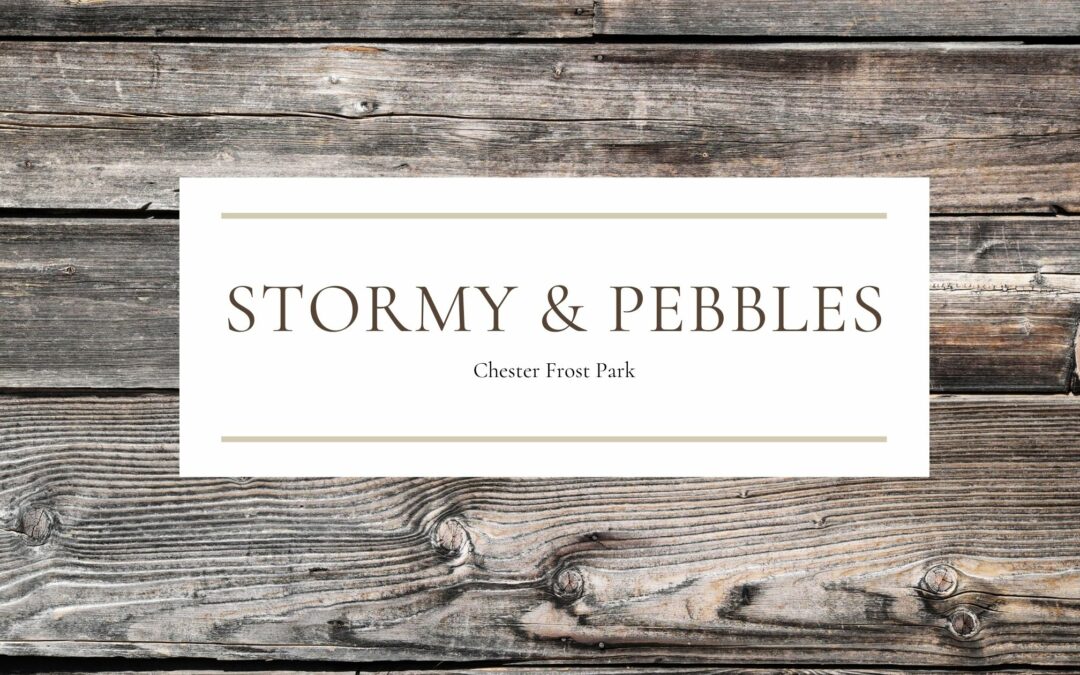 Stormy & Pebbles | Pet Portrait Session