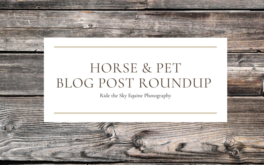 horse and pet blog post roundup