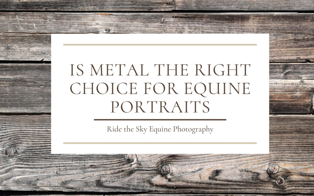 Is Metal the Right Choice for Horse Portraits?