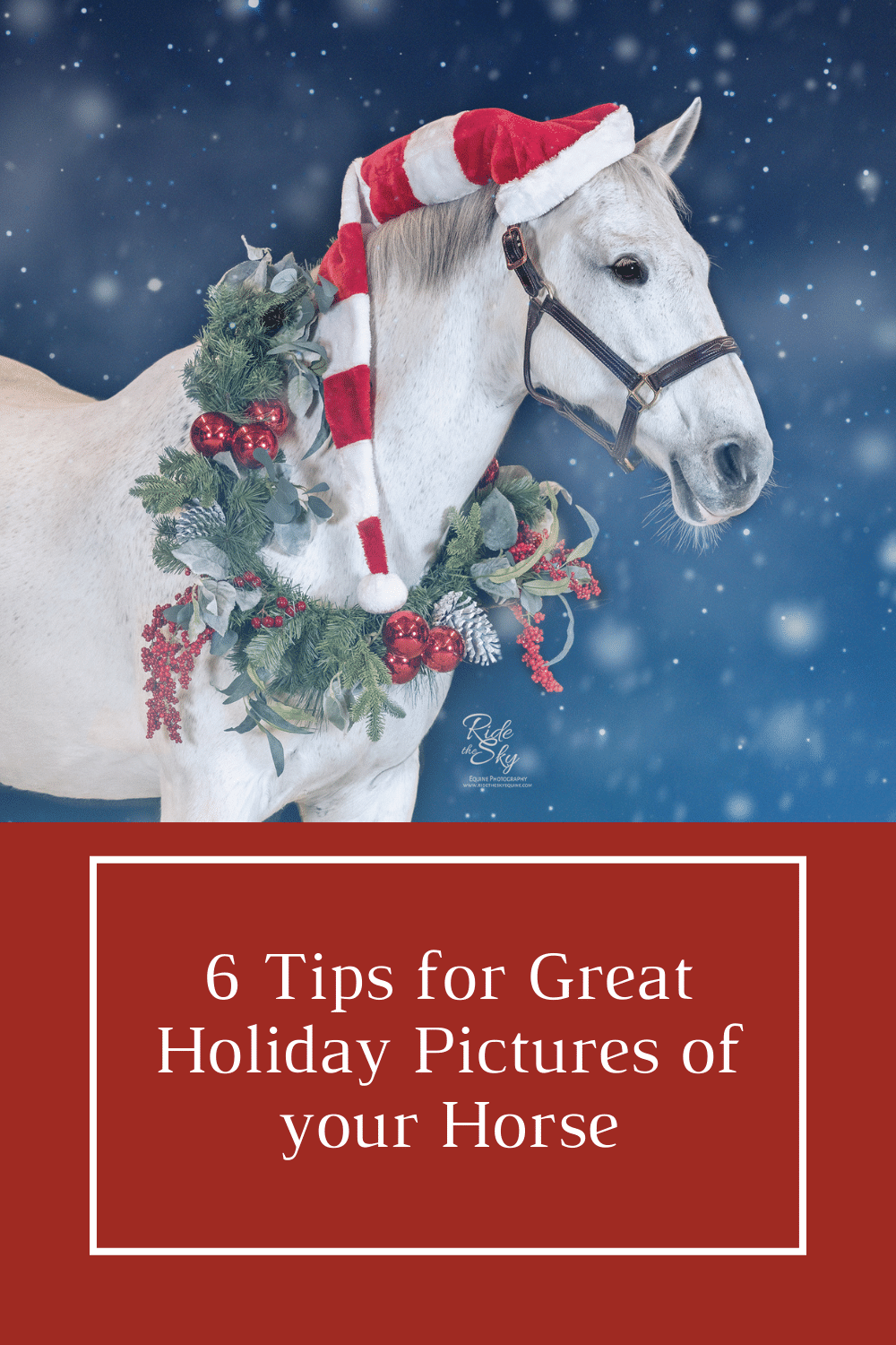 6 Tips for Great Holiday Pictures of Your Horse