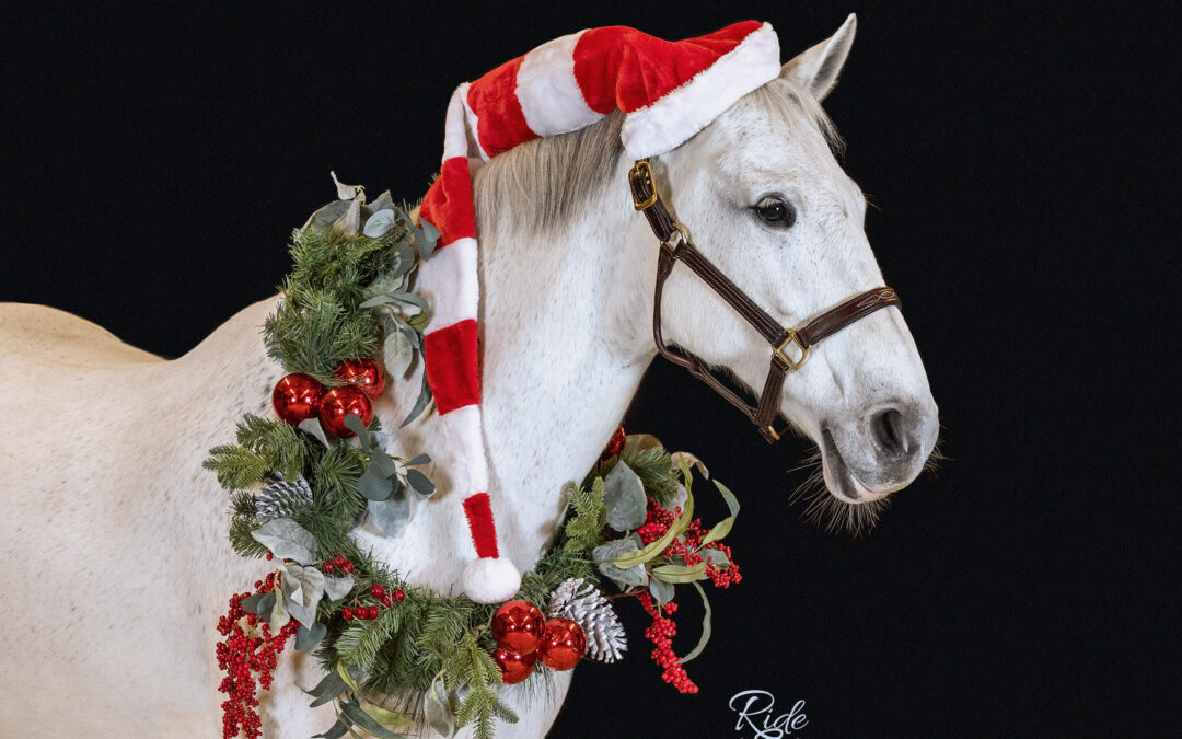 6 Tips for Great Holiday Pictures of your Horse
