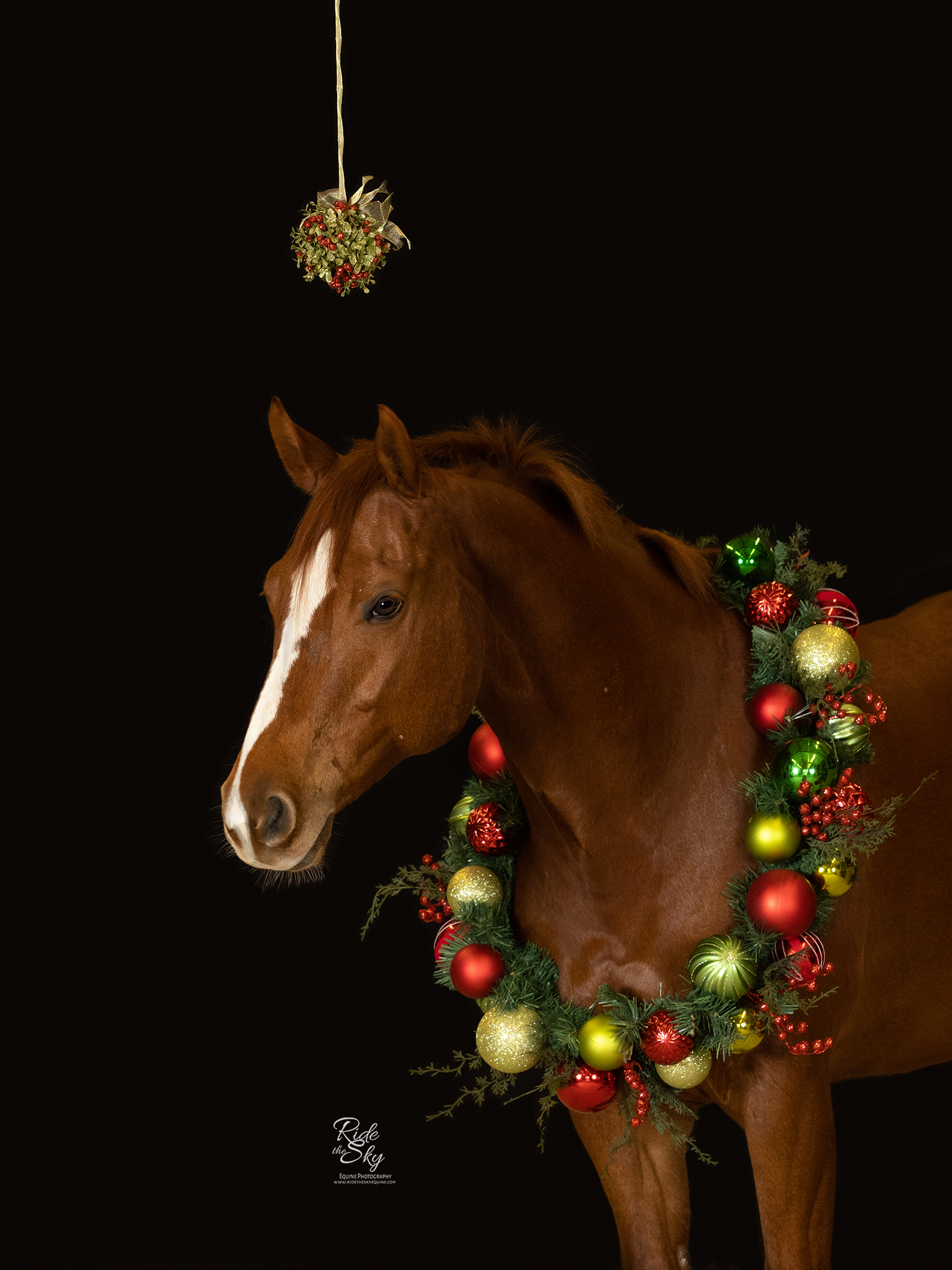 Chestnut Horse wearing holiday wreath and standing under the mistletoe