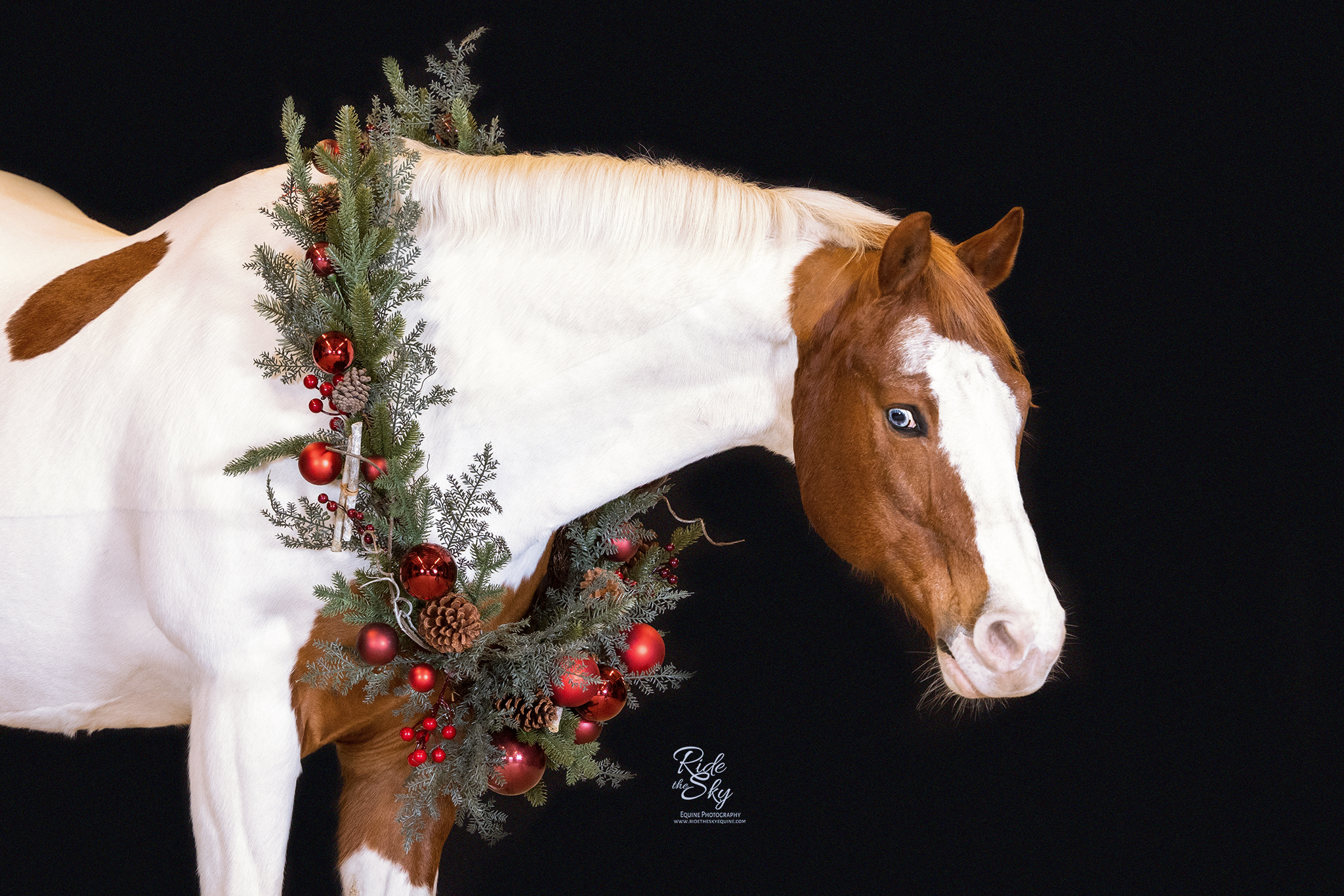 Paint Horse with Christmas Wreath Garland
