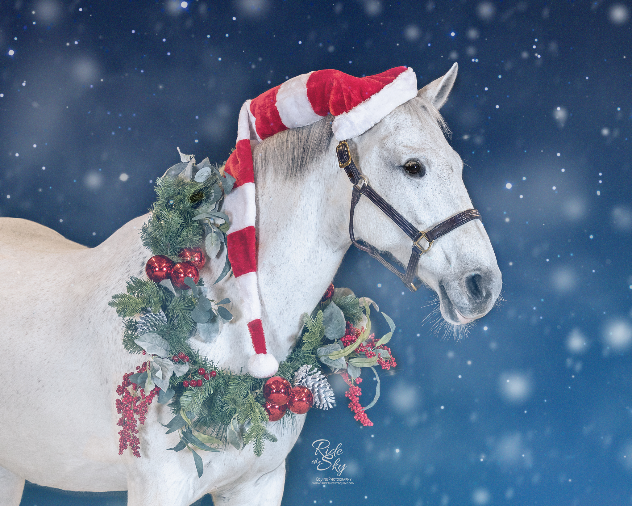 Holiday Horse with Wreath and Santa Hat