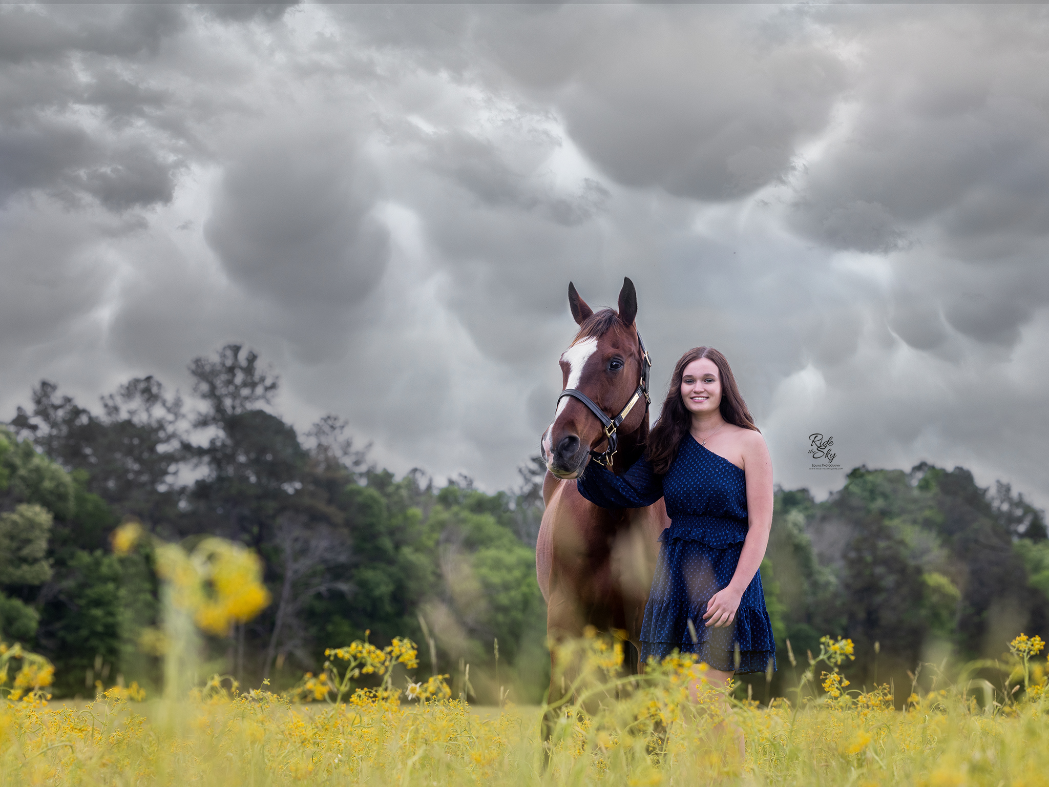 High School Senior Pictured with Her Horse in field of yellow flowers with stormy skies