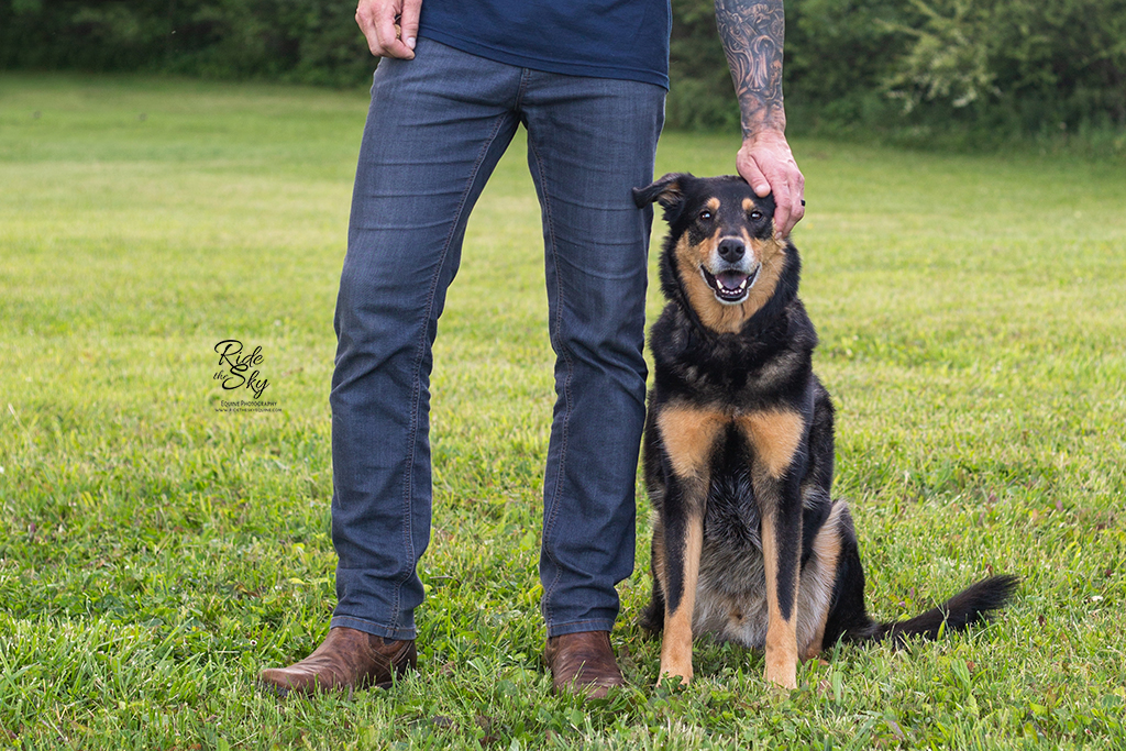 Dog sitting next to man's legs. Man's hand is on the head of the dog petting him.