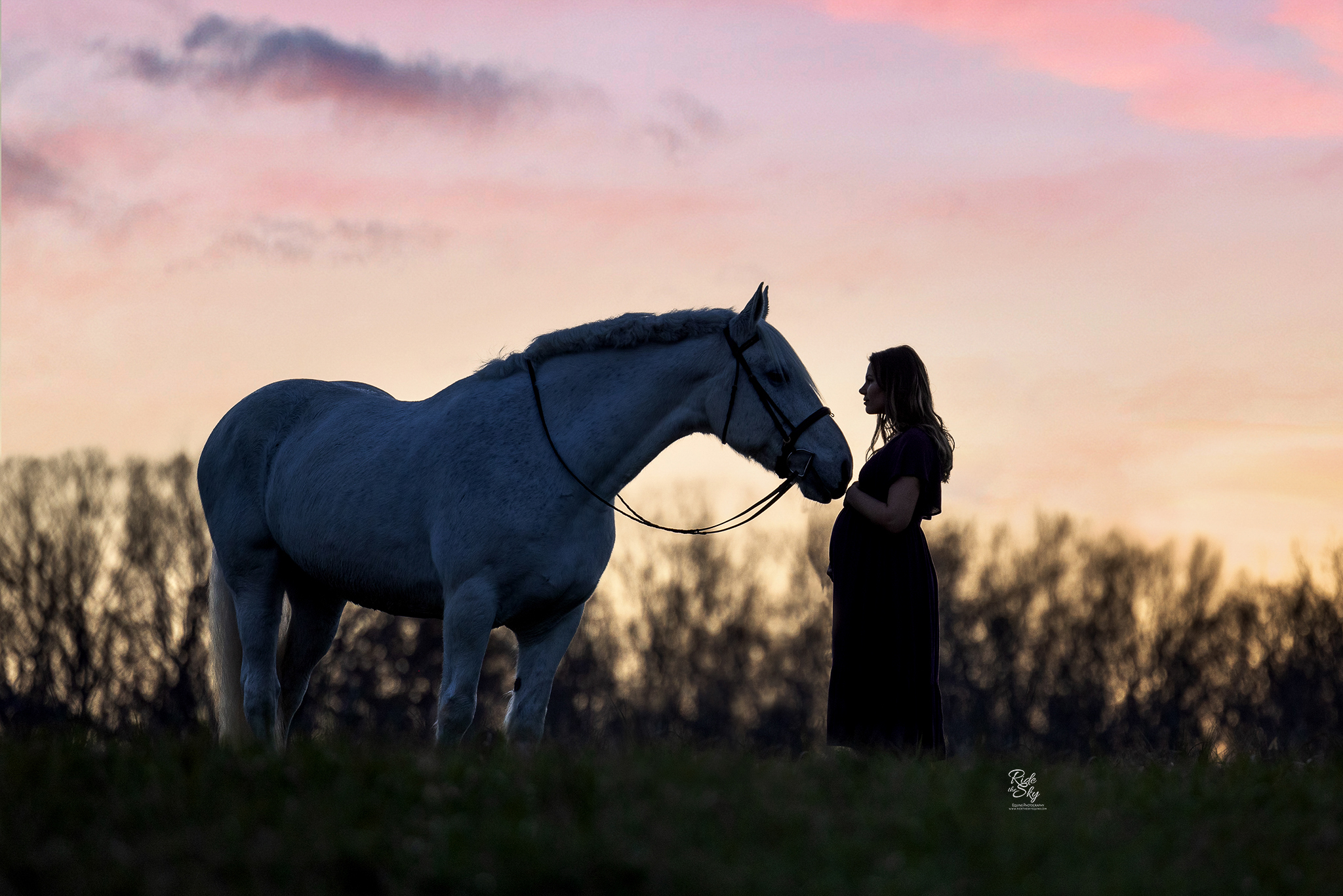 maternity photoshoot with horse