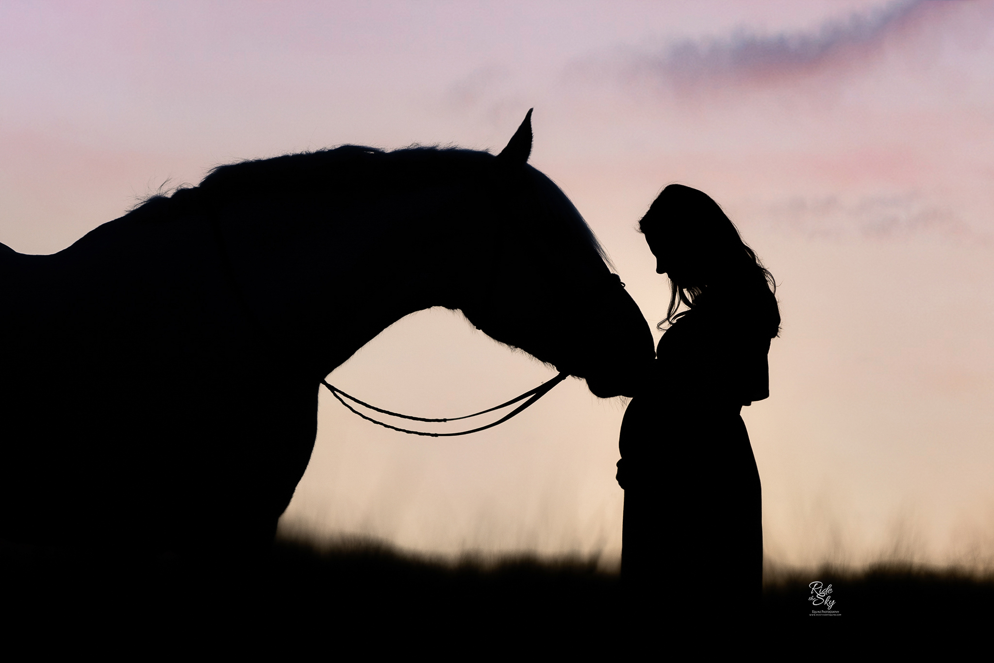 Maternity Pictures with Horse