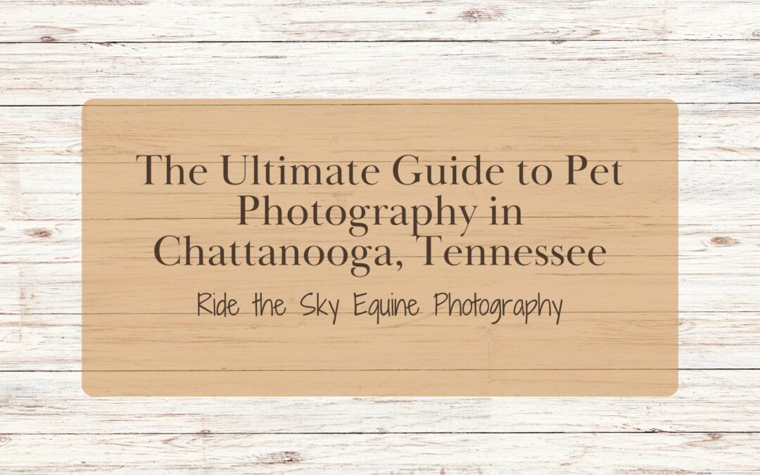 The Ultimate Guide to Pet Photography in Chattanooga, Tennessee