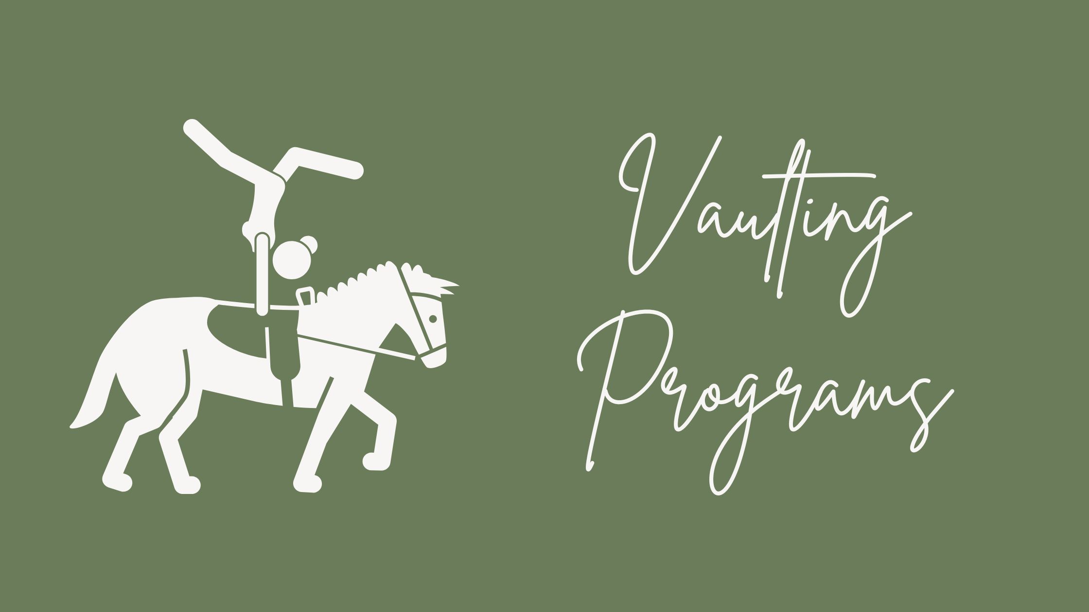 Horse Vaulting Programs in southeast Tennessee