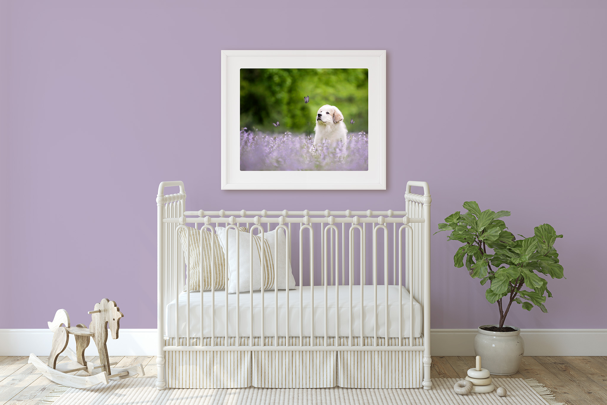 Framed Print of Puppy in Purple Flower Field