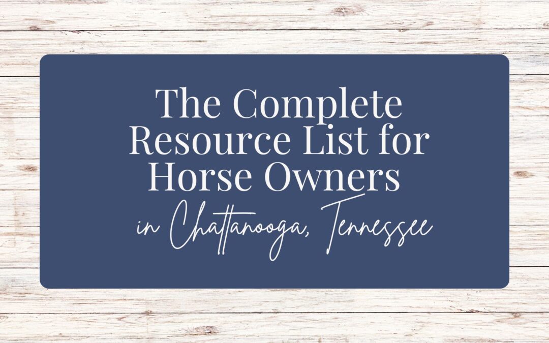 The Complete Resource List for Horse Owners in Chattanooga, TN