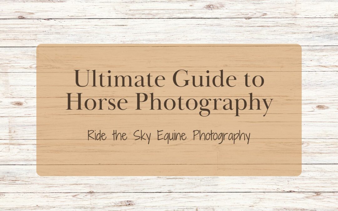 Ultimate Guide to Horse Photography