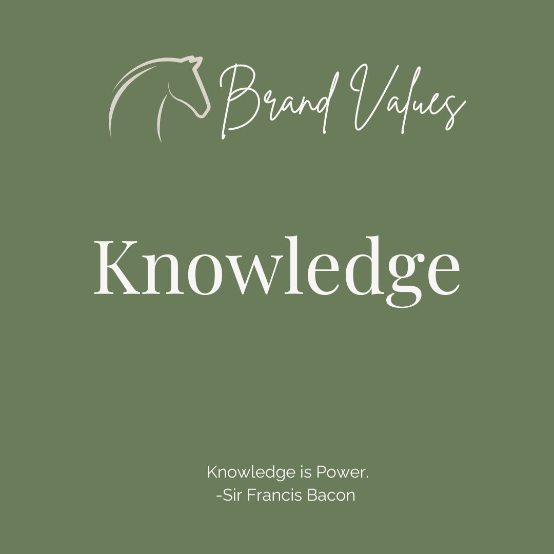 Ride the Sky Brand Value Knowledge