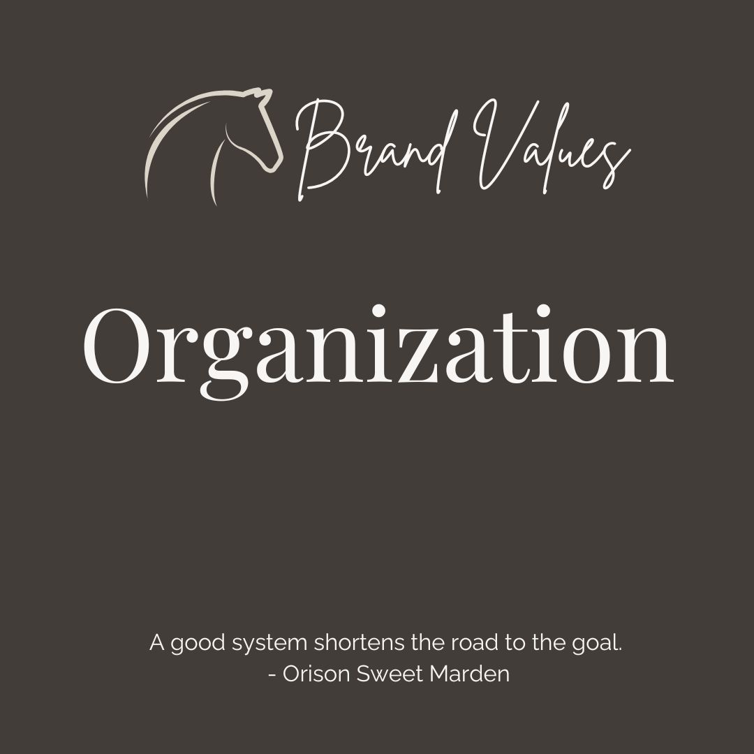 Ride the Sky Brand Value Organization