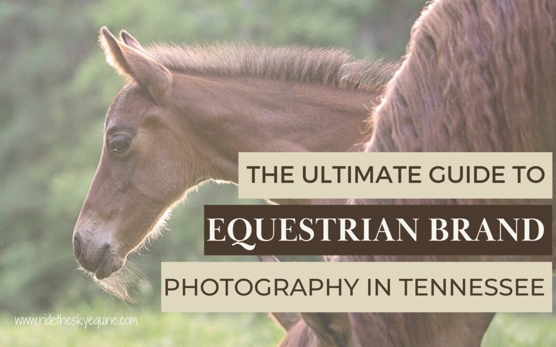 Ultimate Guide to Equestrian Brand Photography in Tennessee