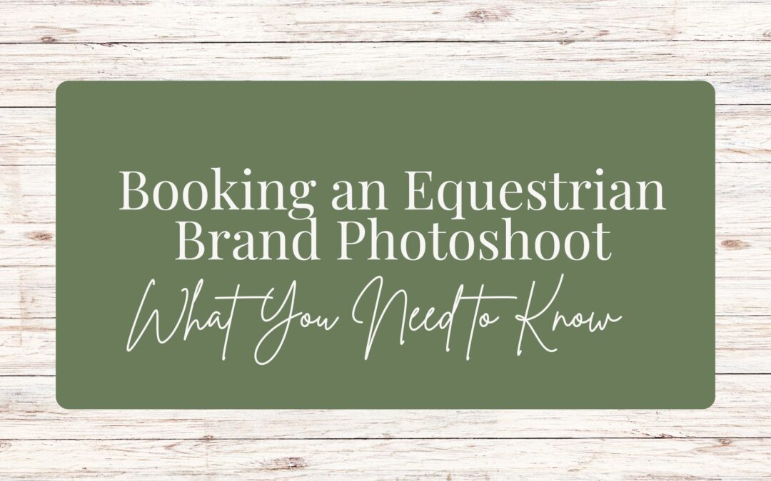 Booking an Equestrian Brand Photoshoot (What you Need to Know)