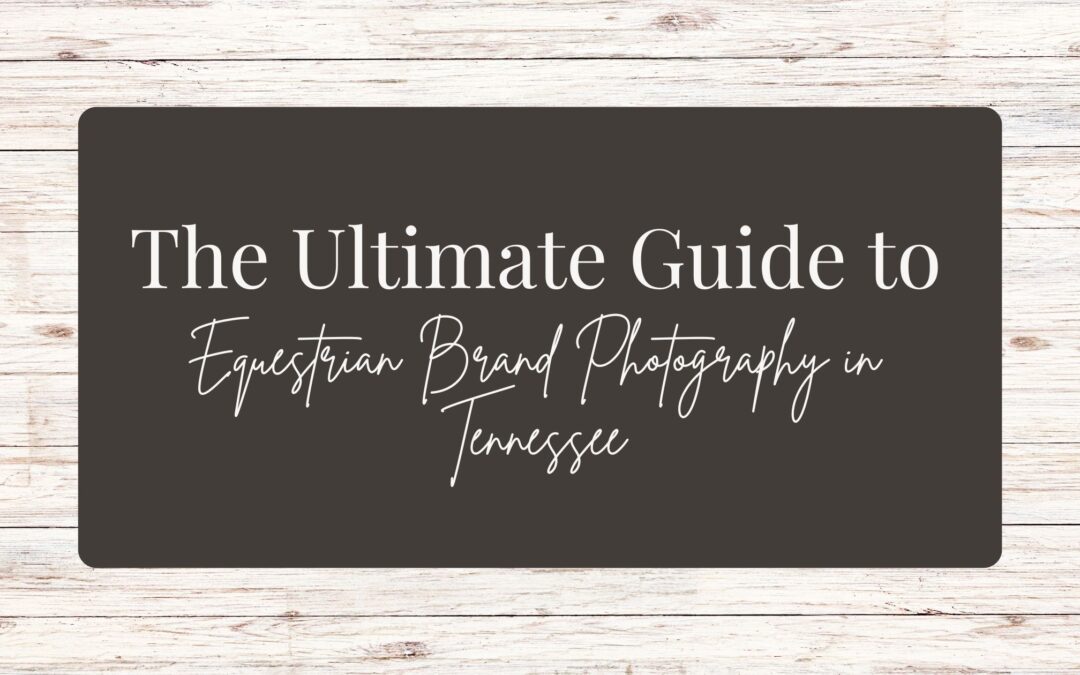 The Ultimate Guide to Equestrian Brand Photography in Tennessee