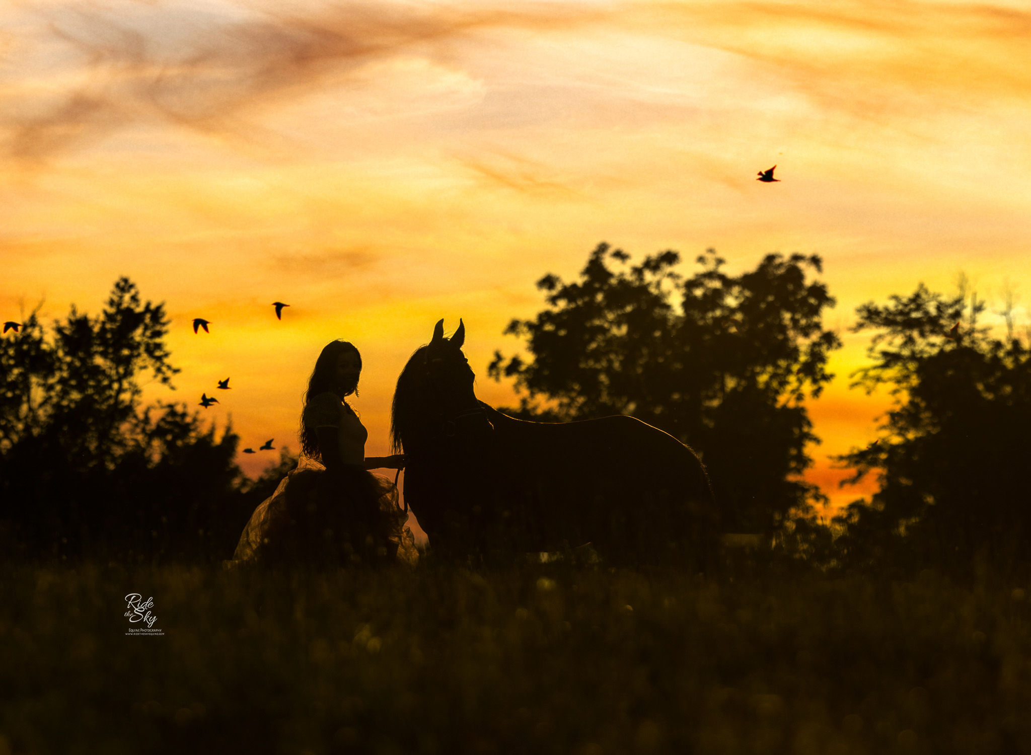 High School Senior Equestrian and her horse in silhouette at sunset