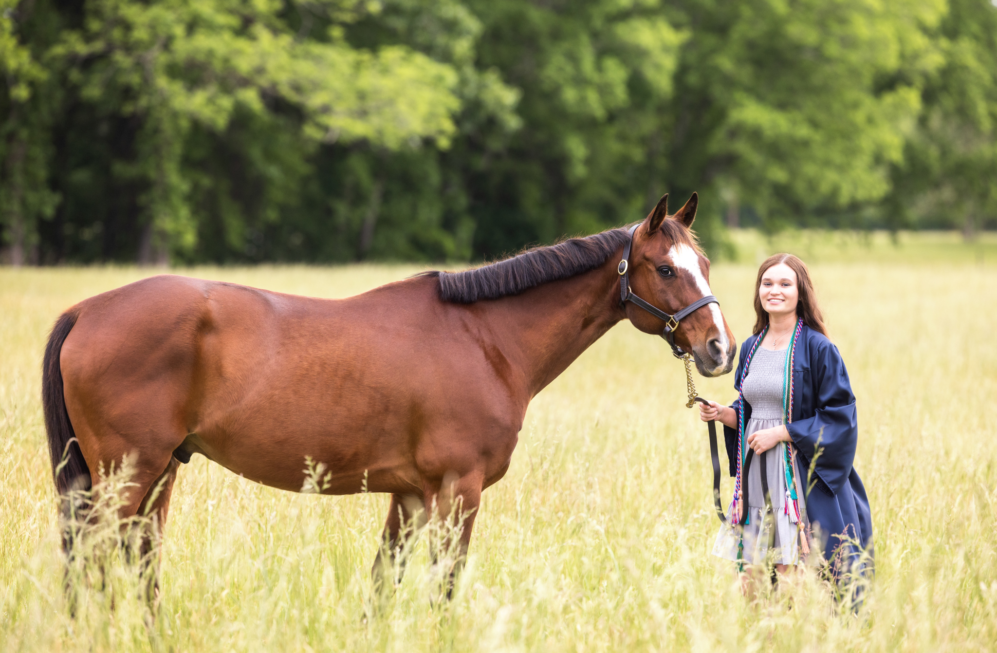 Equestrian Senior Pictures in north Georgia. Girl with horse in field in graduation gown