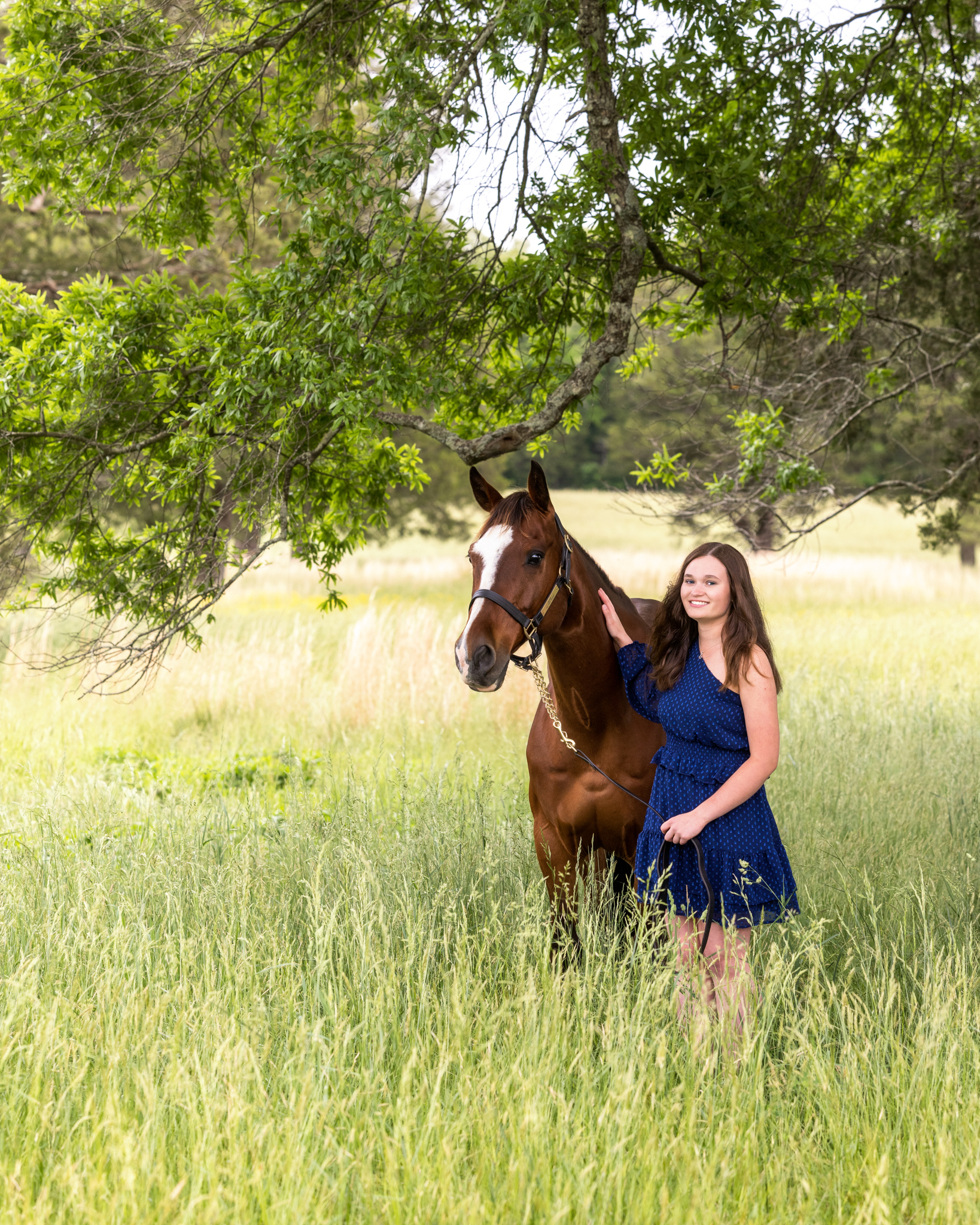 Equestrian senior pictures in field in Ft. Olgethorpe