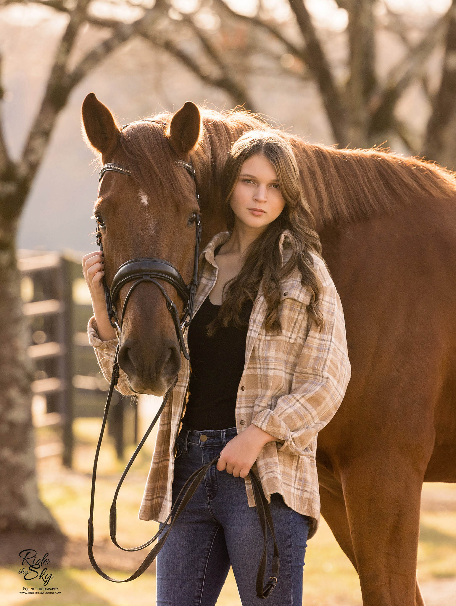 Equestrian High School Senior Pictures with Warmblood Horse in East Tennessee and North Georgia