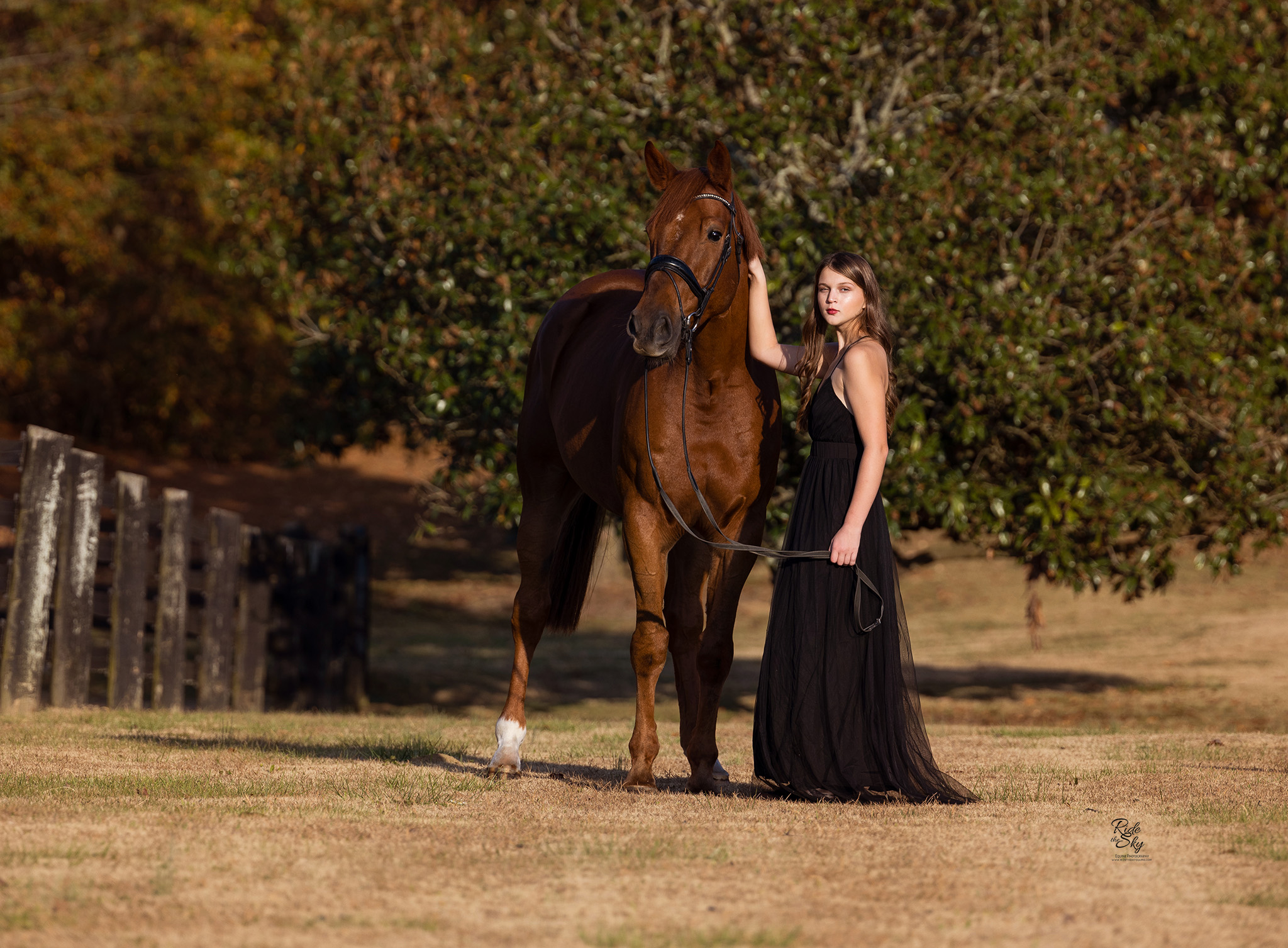 High School Senior photographed with her horse at Le Bonheur Equestrian in Chatsworth GA