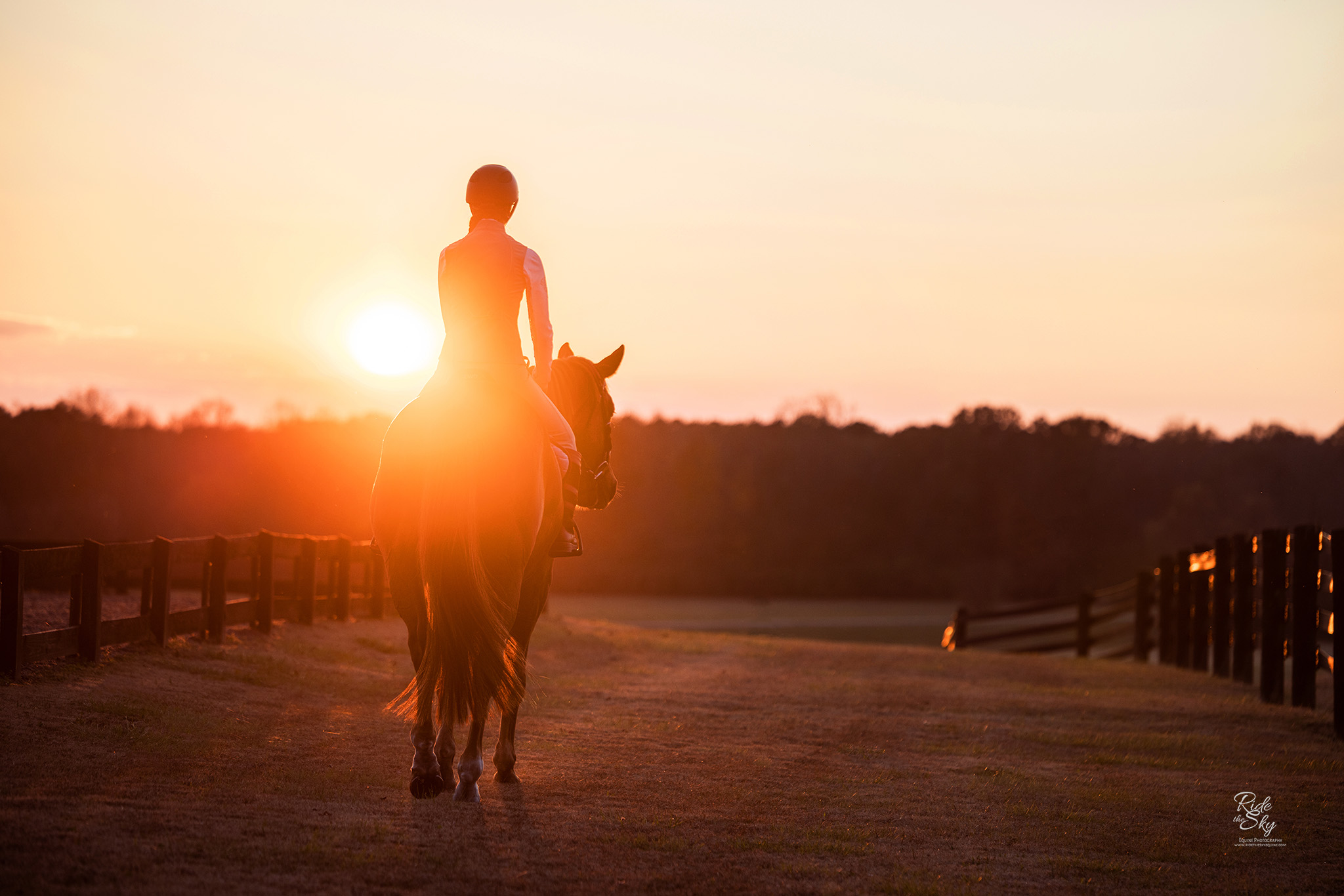 High School Senior photographed on her horse at sunset in Chatsworth GA