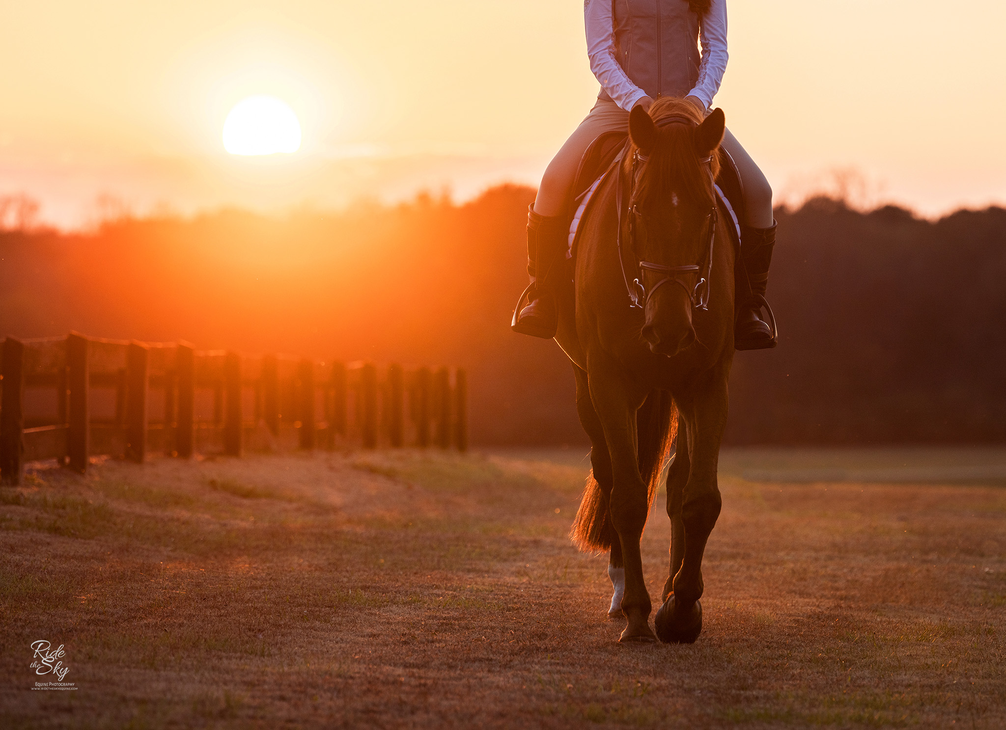 Warmblood horse and rider at the end of the day with the sun setting.