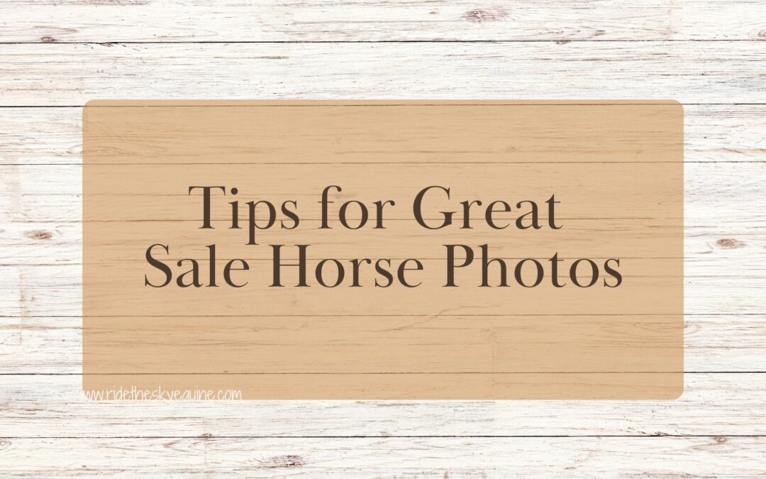 Tips for Great Sale Horse Photos