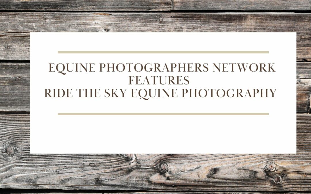 Featured: Equine Photographers Network Features Ganador