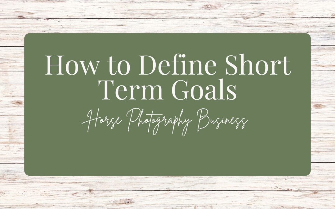 Horse Photography Business: How to Define Short-Term Goals