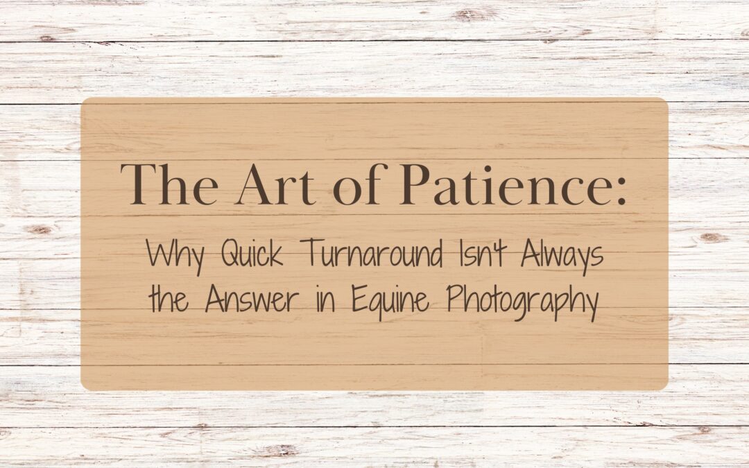 The Art of Patience: Why Quick Turnaround Isn’t Always the Answer in Equine Photography