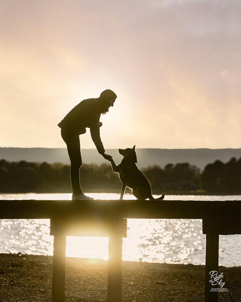 Women and her dog shaking hand and paw on a dock at sunset in Chester Frost Park in hixson, Tennessee