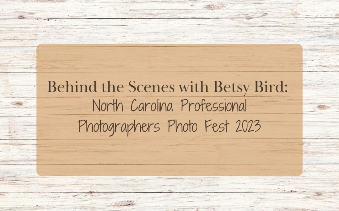 Horse Photographer Betsy Bird Empowers Non-Equine Photographers at North Carolina Professional Photographers Photo Expo 2023 Conference