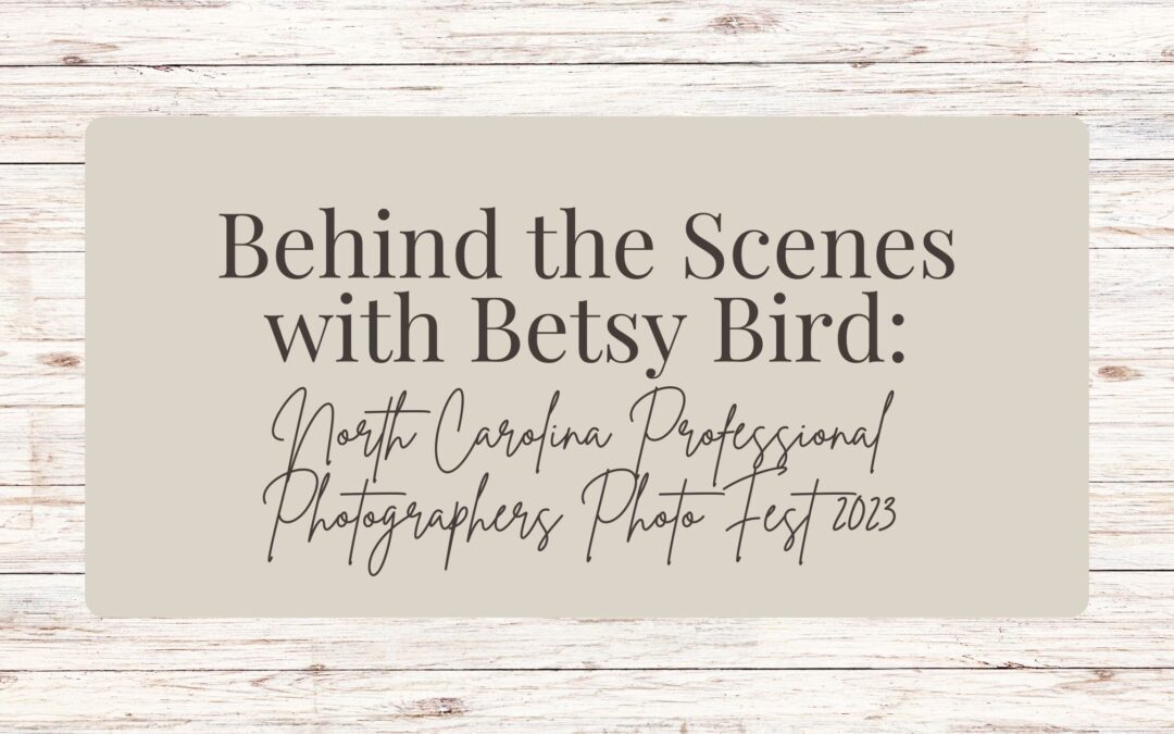 Horse Photographer Betsy Bird Empowers Non-Equine Photographers at North Carolina Professional Photographers Photo Expo 2023 Conference