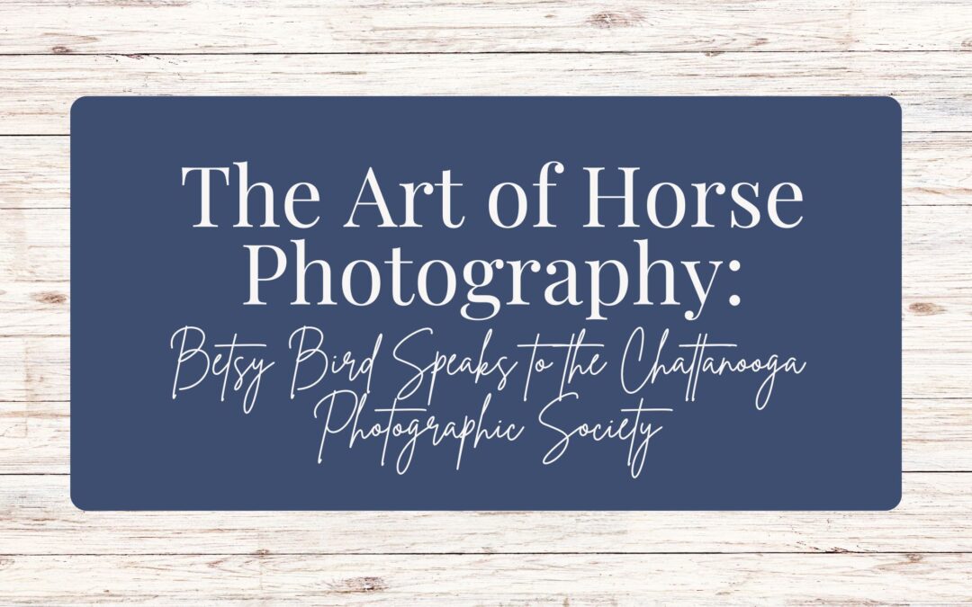 The Art of Horse Photography: Betsy Bird Speaks to the Chattanooga Photographic Society