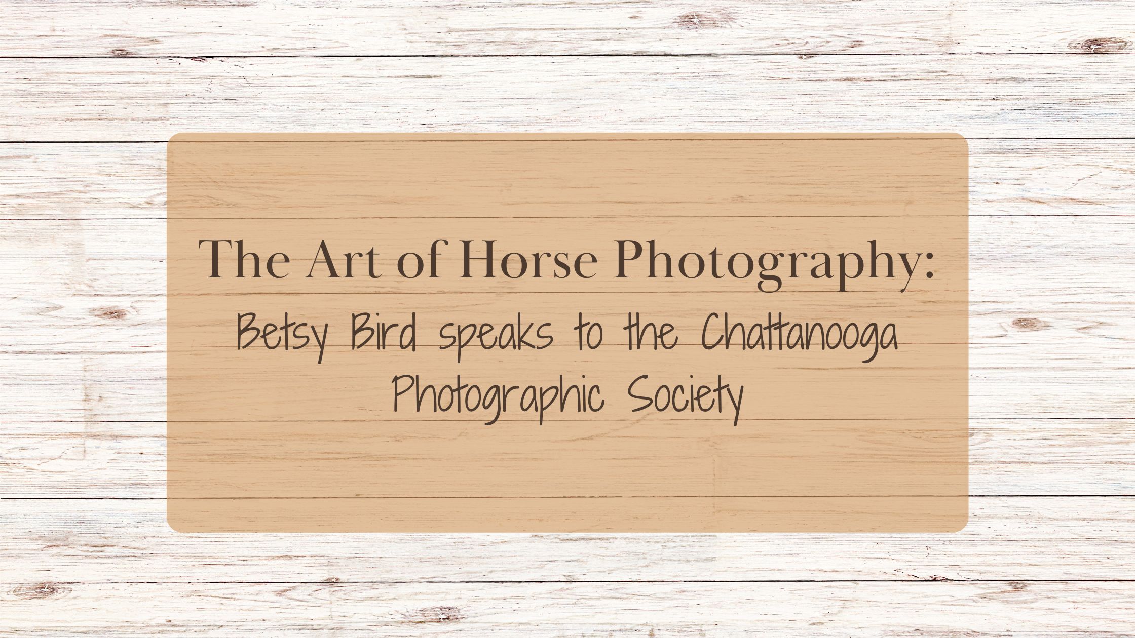 The Art of Horse Photography: Betsy Bird Speaks to the Chattanooga Photographic Society