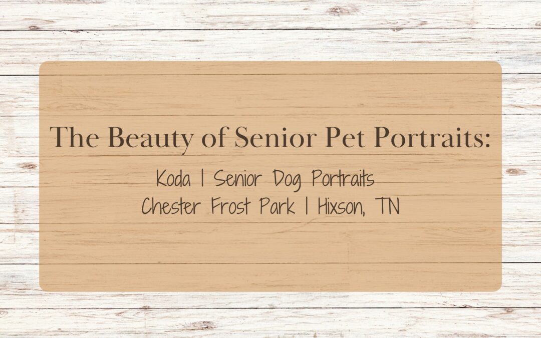 The Beauty of Senior Pet Portraits: Koda | Senior Dog Portraits | Chester Frost Park | Hixson, TN
