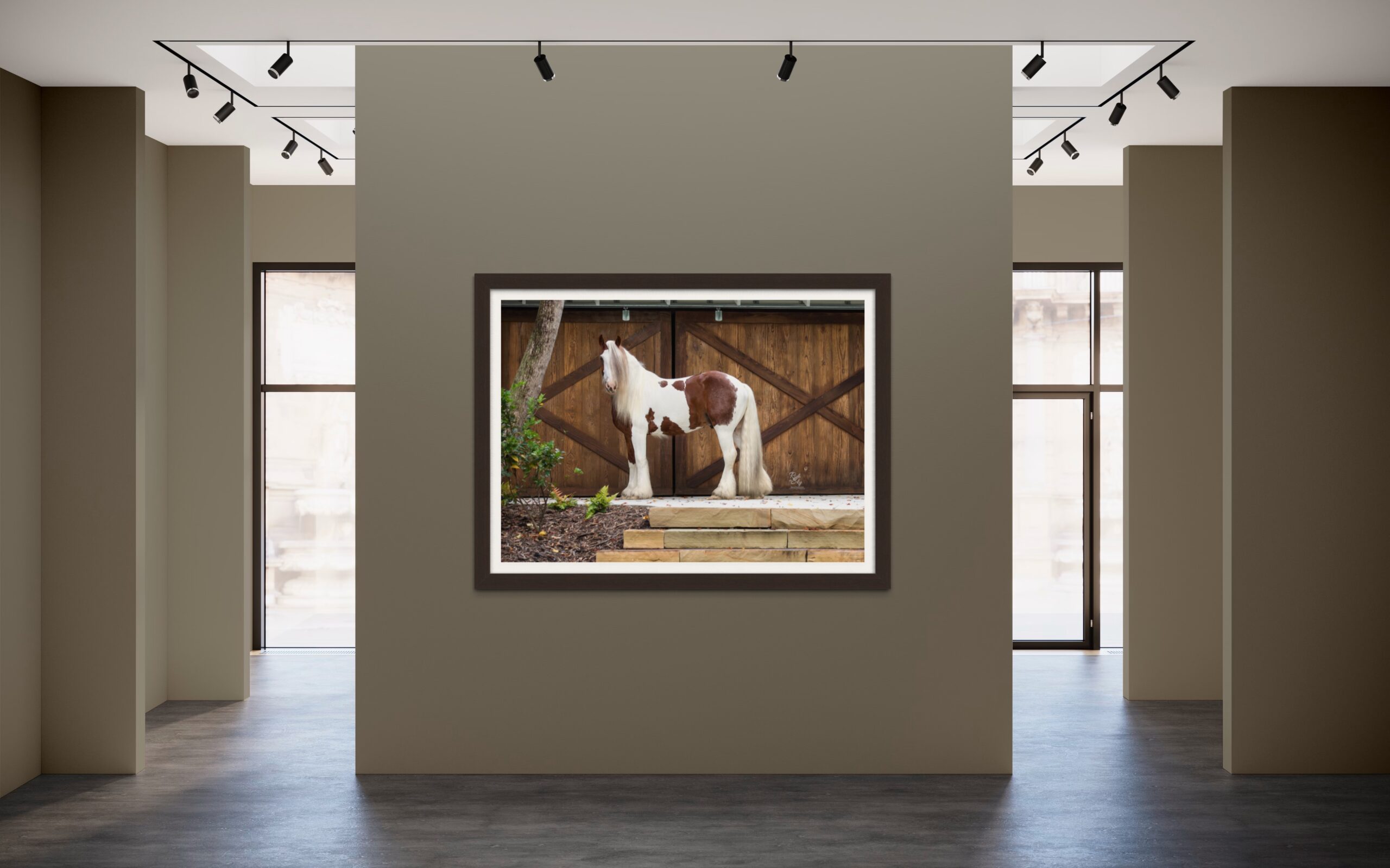 Portrait of Gypsy Vanner Horse as a framed Print on Wall.