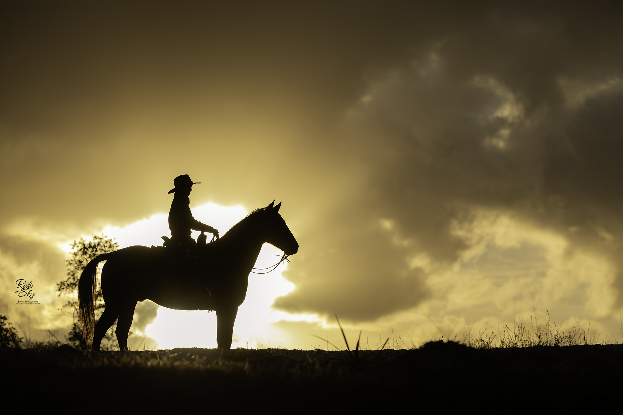 Portrait of a Horseback rider and horse in silhouette at sunset on a ridge